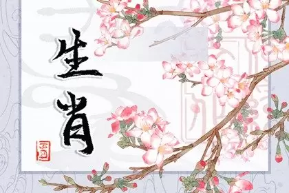 十二生肖最败家的生肖，多少钱都不够ta挥霍插图