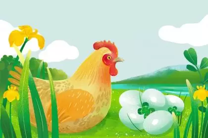 袁姓鸡年闰六月起名要注意什么?插图 袁姓鸡年闰六月起名要注意什么?插图