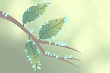 照片放在卧室什么位置好 卧室照片风水禁忌，卧室照片放在哪好插图