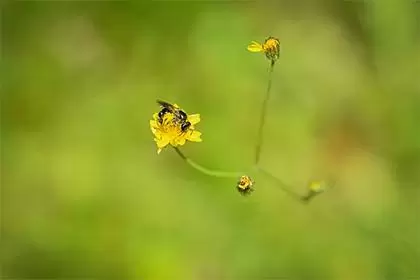 赵顾怎么取名,哪些名字才不会产生歧义插图 赵顾怎么取名,哪些名字才不会产生歧义插图