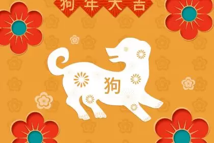 阮姓狗宝宝要怎么取名插图 阮姓狗宝宝要怎么取名插图