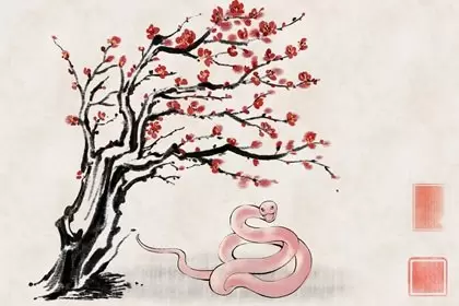 属蛇人一生最旺的颜色 风水中最旺属蛇的数字和植物插图