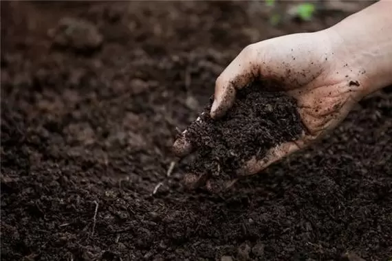 周公解梦量土地 用卷尺量土地怎么量插图