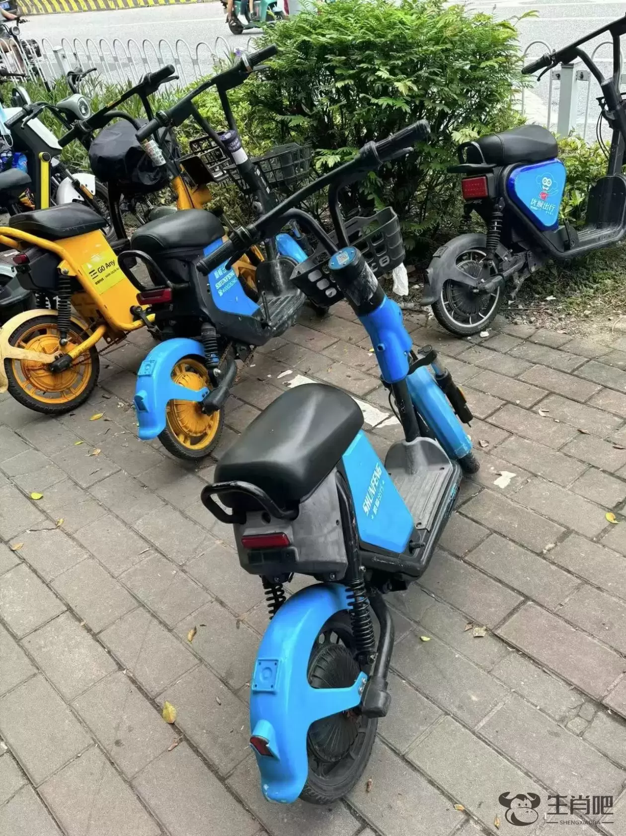 广州男子骑共享电单车遭罚款追踪：街头多为非法投放，有品牌称报销罚款插图