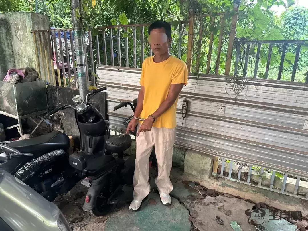 偷完电动车偷手机！3小时，三亚吉阳警方速破盗窃案插图2