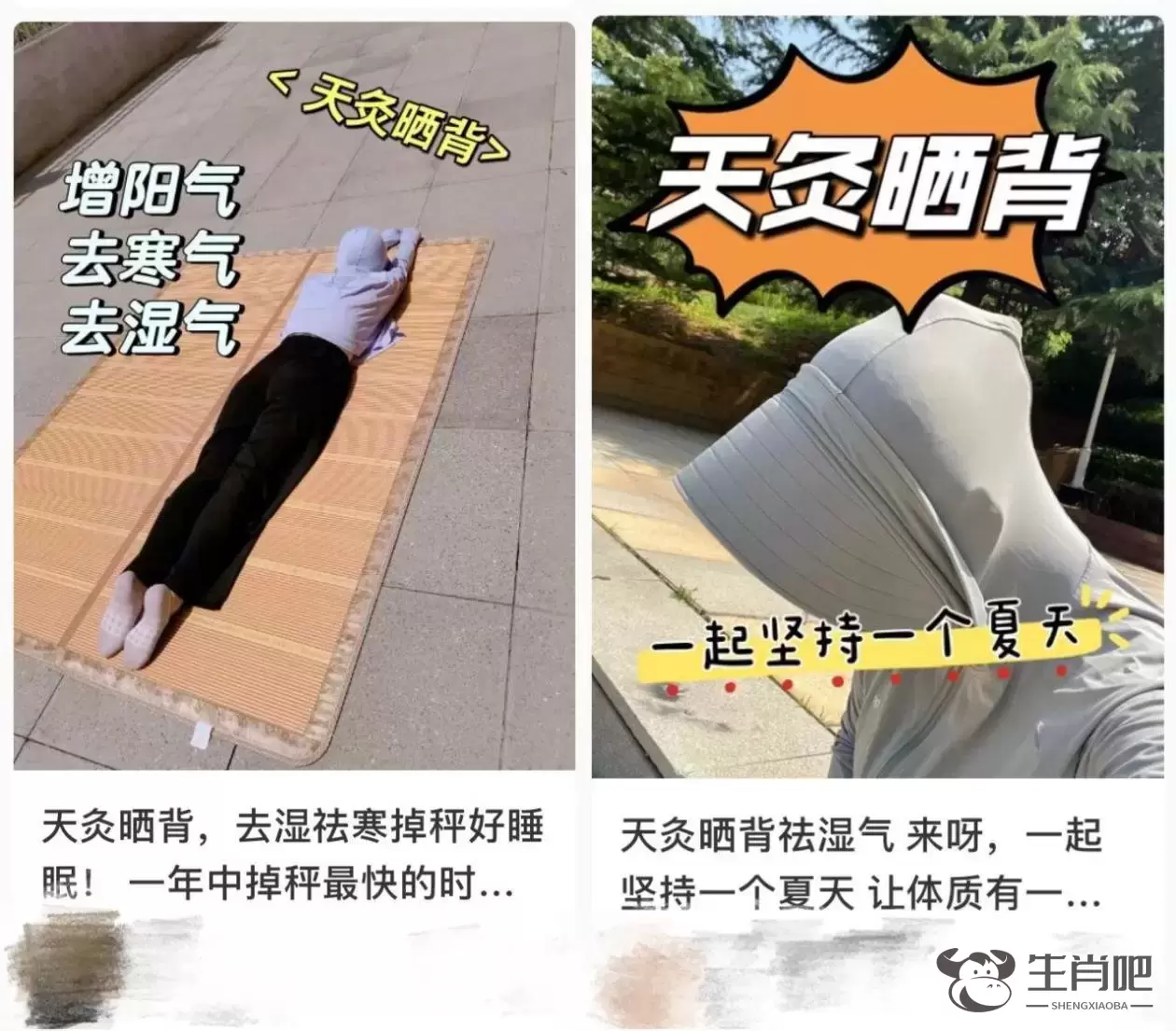 三伏天晒背是“最便宜”的养生方式？但要注意这几点！插图