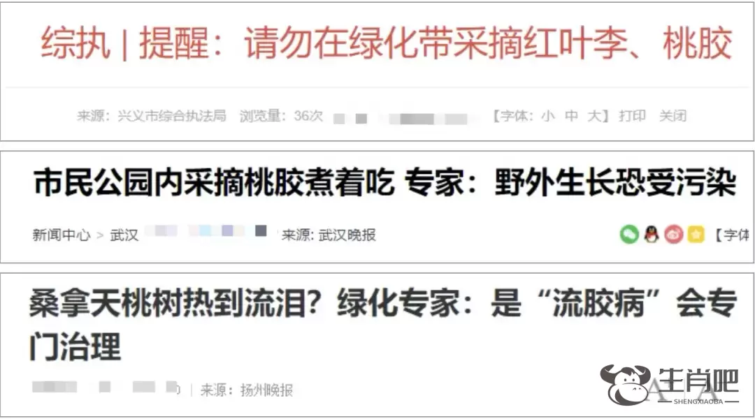 广州不少街头已出现，不要采、不要吃！插图1