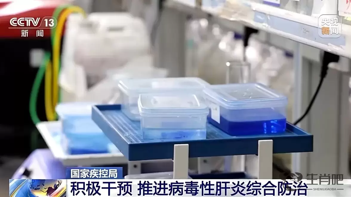 病毒性肝炎是如何感染的，应该怎样预防？插图3
