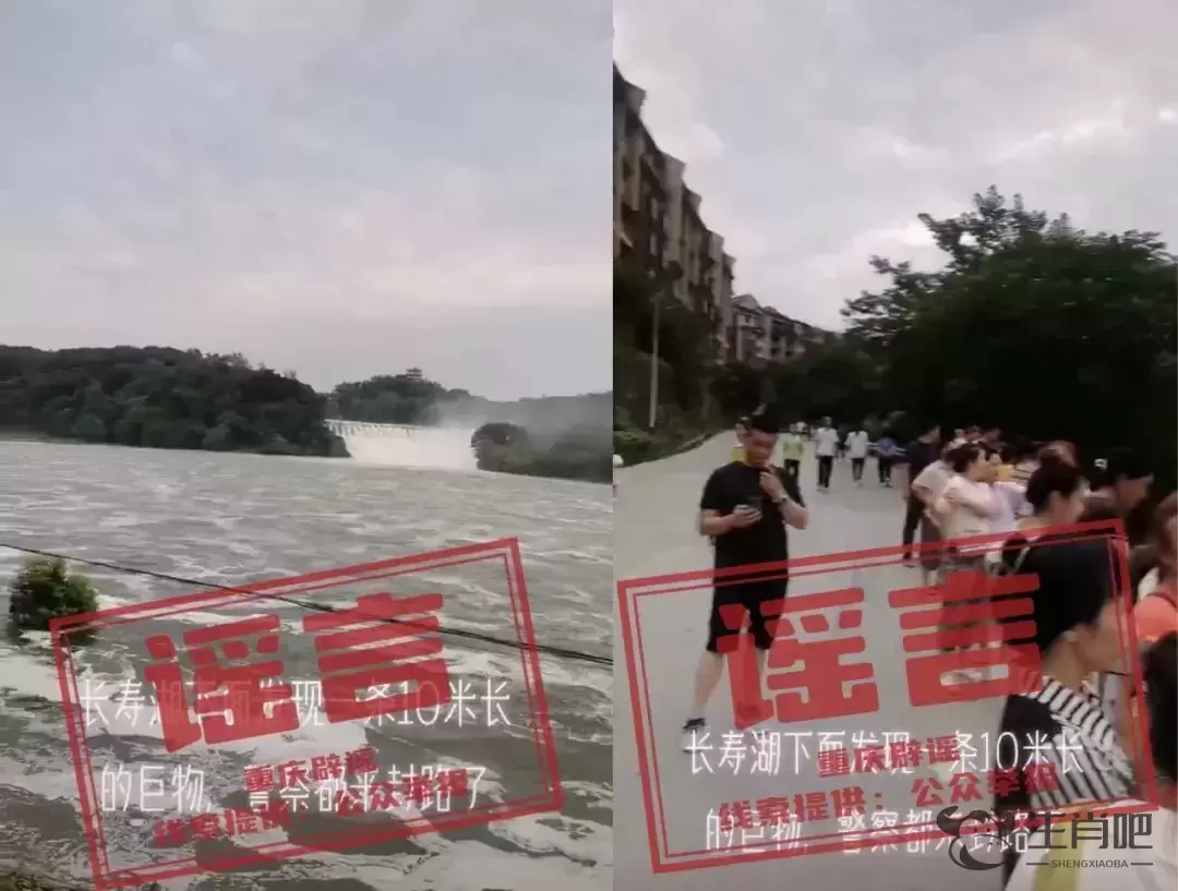 “长寿湖发现10米长巨物，警察都来封路了”？重庆辟谣插图
