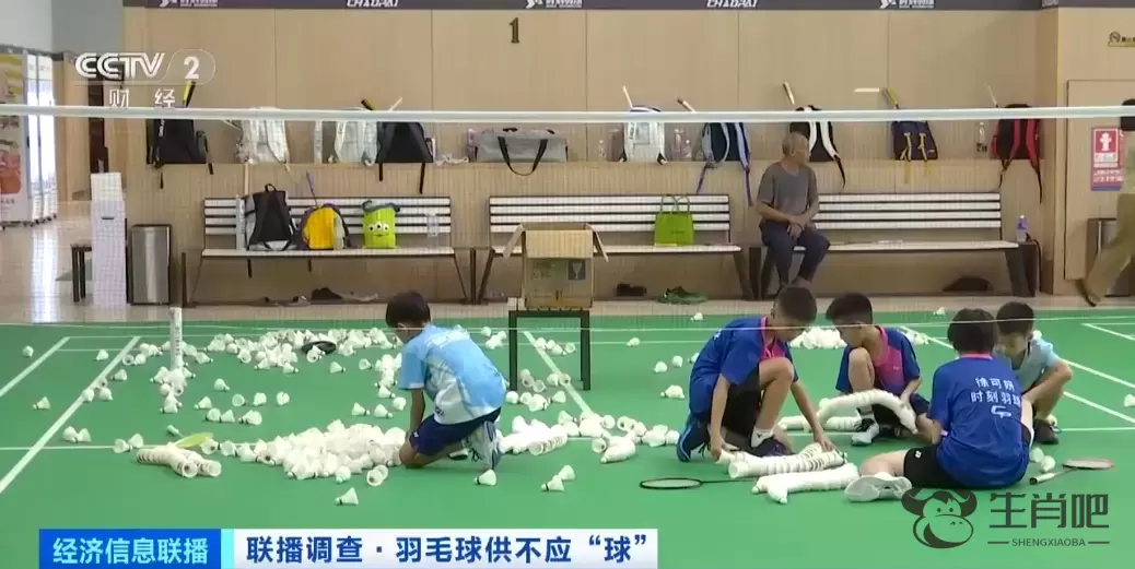 热销品类卖断货！这项2.5亿人参与的运动太火爆了插图1