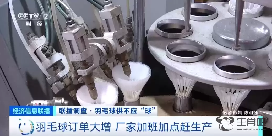 热销品类卖断货！这项2.5亿人参与的运动太火爆了插图5