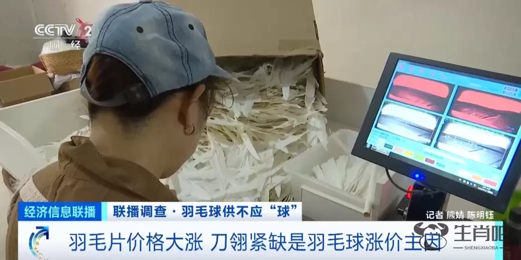 热销品类卖断货！这项2.5亿人参与的运动太火爆了插图7