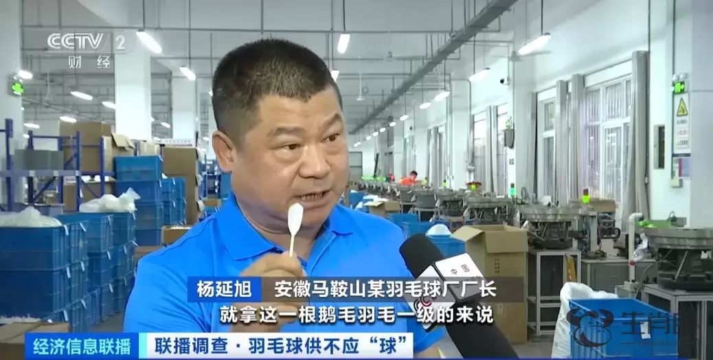 热销品类卖断货！这项2.5亿人参与的运动太火爆了插图8