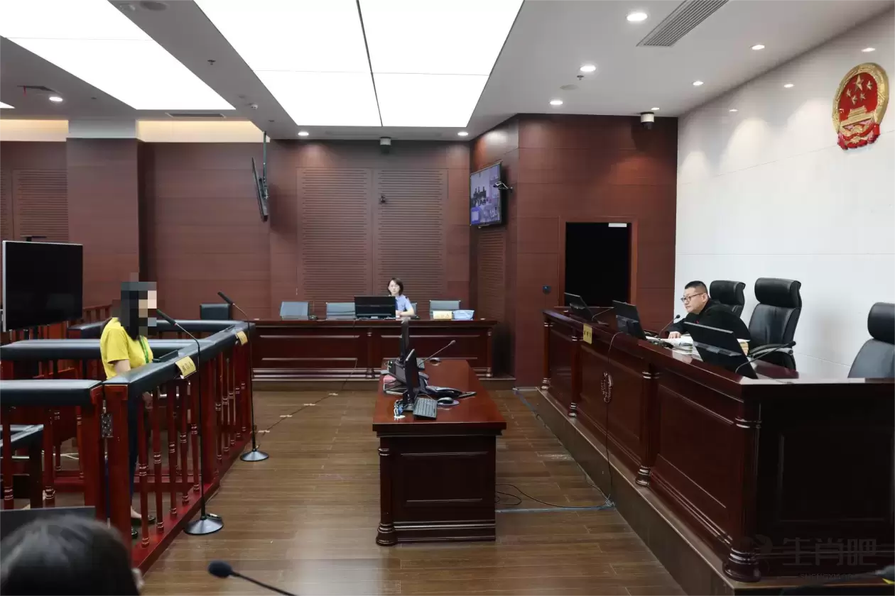 上海市首例骗领生育保险金案宣判，女子获刑并处罚金插图