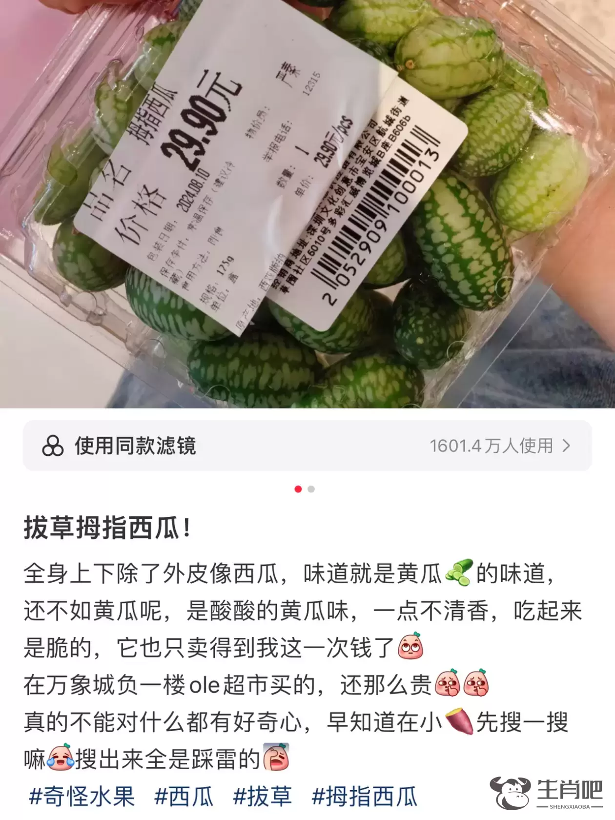小众水果开出新赛道，60元一斤的拇指西瓜你会买吗插图2