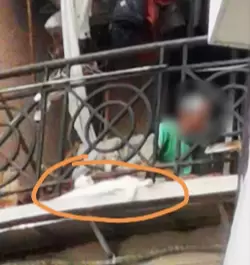 吓人！广州一小区频现“高空坠猫”，曾差点砸中小孩……插图2
