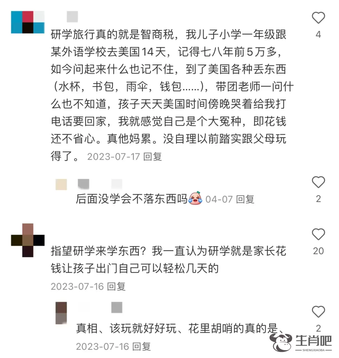 半个月6万元的研学团，“孩子坐在路边玩手机”插图2