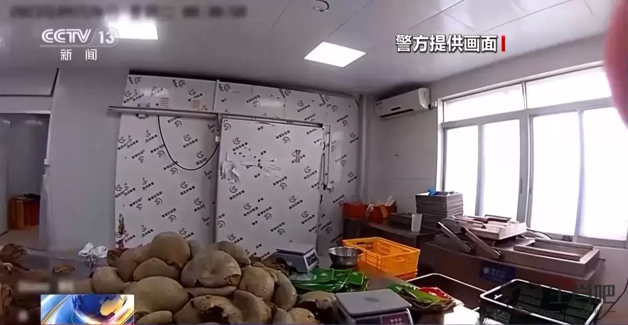 更换包装“洗白”谋利 涉案超20亿元！特大走私专案告破插图7