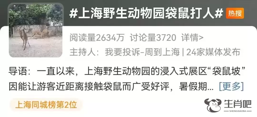游客爆料：在上海野生动物园，被袋鼠打伤！还有人被扇耳光？园方最新回应插图