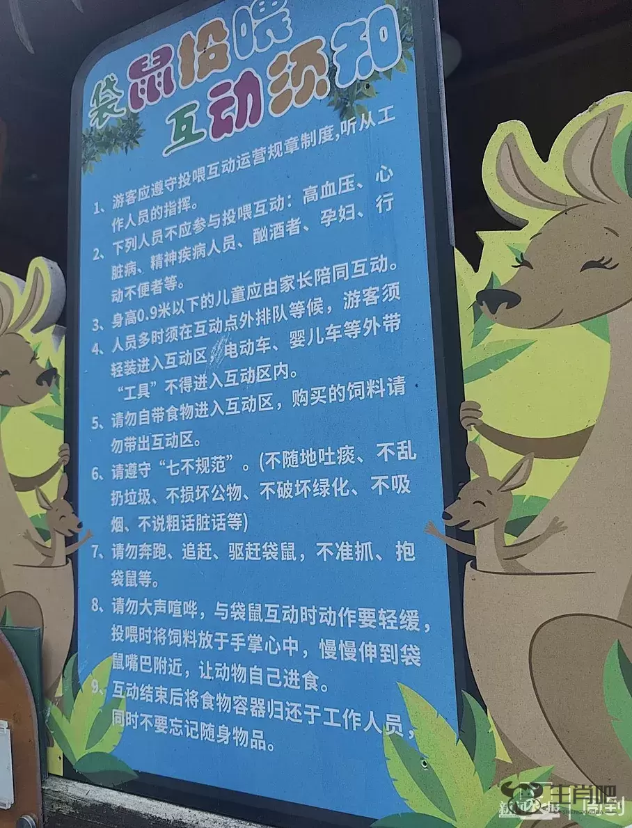 游客爆料：在上海野生动物园，被袋鼠打伤！还有人被扇耳光？园方最新回应插图3