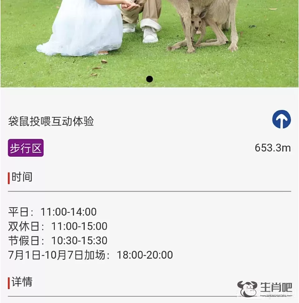 游客爆料：在上海野生动物园，被袋鼠打伤！还有人被扇耳光？园方最新回应插图6