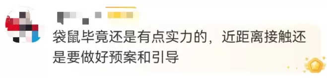 游客爆料：在上海野生动物园，被袋鼠打伤！还有人被扇耳光？园方最新回应插图14