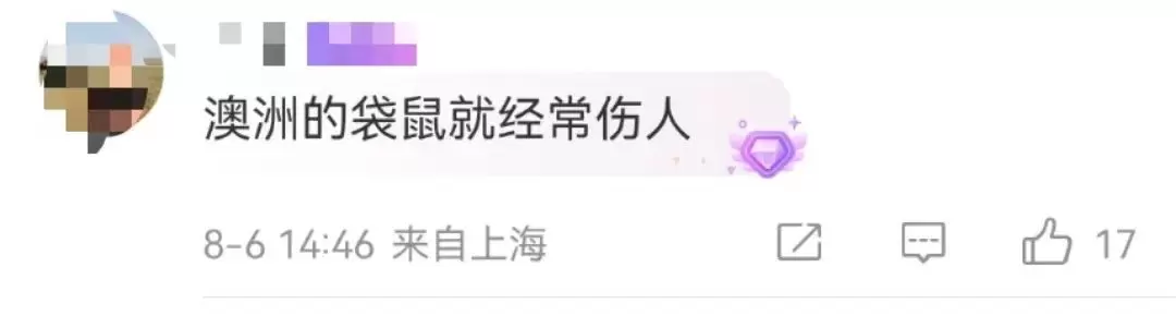 游客爆料：在上海野生动物园，被袋鼠打伤！还有人被扇耳光？园方最新回应插图15