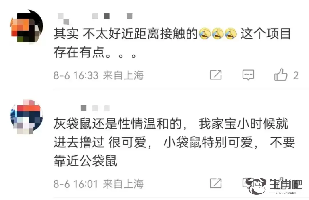 游客爆料：在上海野生动物园，被袋鼠打伤！还有人被扇耳光？园方最新回应插图16