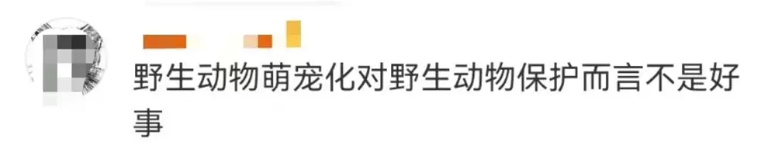 游客爆料：在上海野生动物园，被袋鼠打伤！还有人被扇耳光？园方最新回应插图17