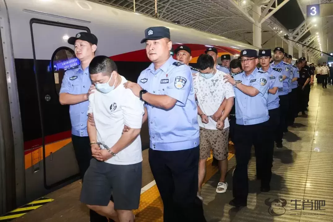 集中收网，4200多名嫌疑人被抓，山东警方通报插图