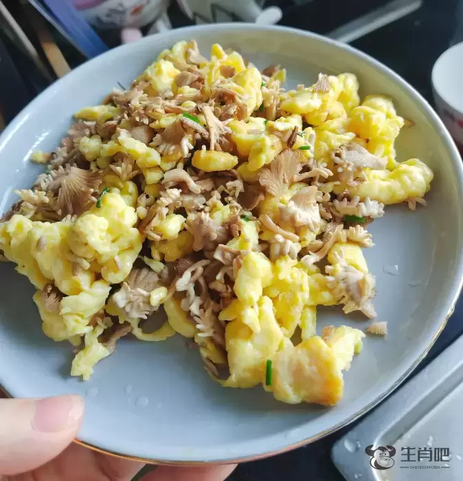 邓女士吃上昆明寄来的“果菌王”后代插图2