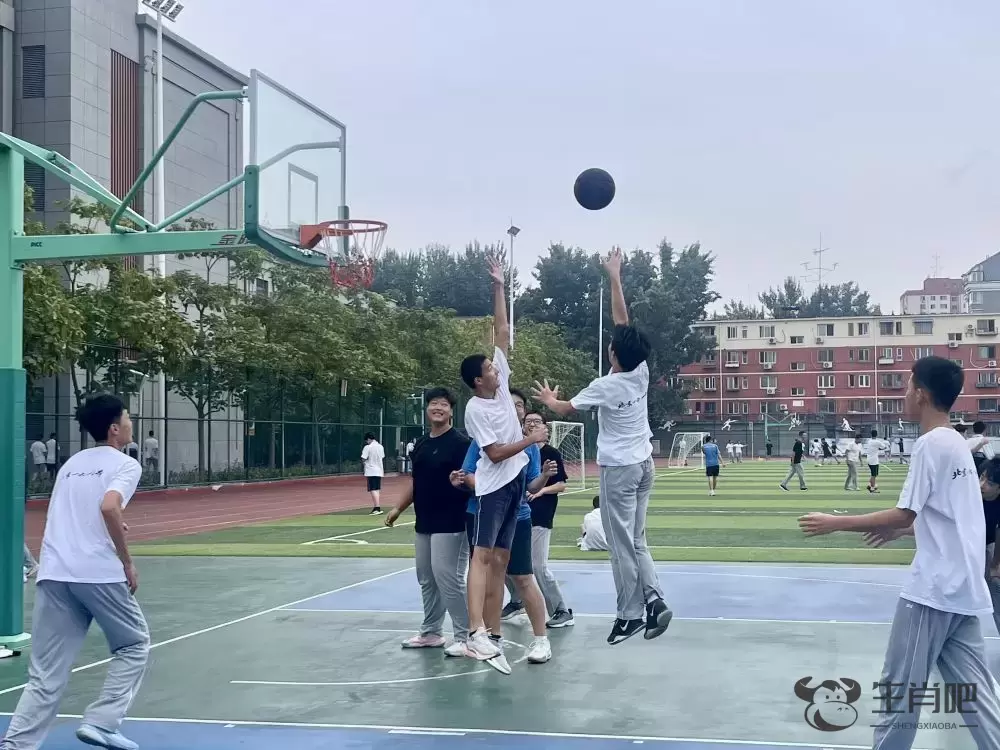 奥运热燃校园 体育课天天见——开学季学校体育呈现新面貌插图4