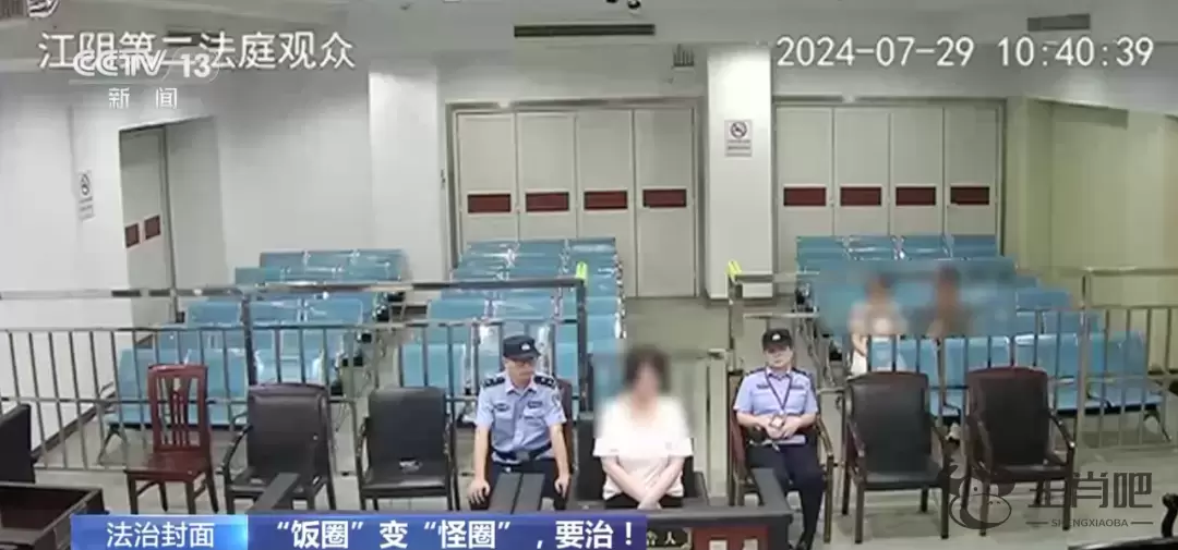 狂热粉丝围堵艺人险酿事故！“饭圈”为啥变怪圈？插图4