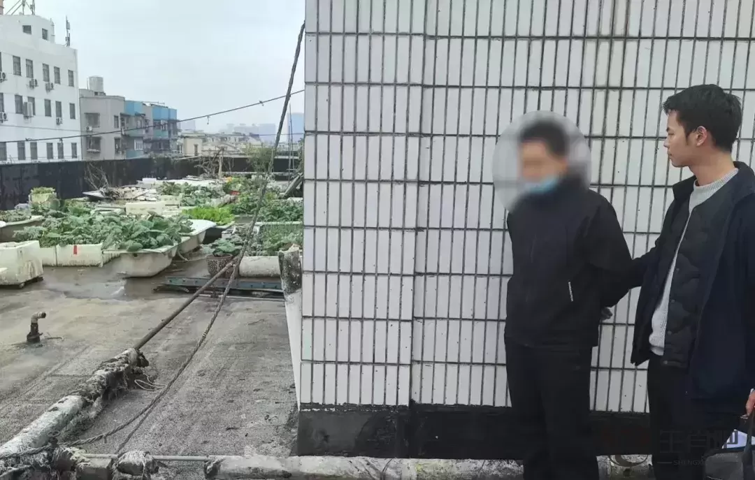 “我的账号咋自动发布擦边视频？”警方介入调查，抓获12人！插图7