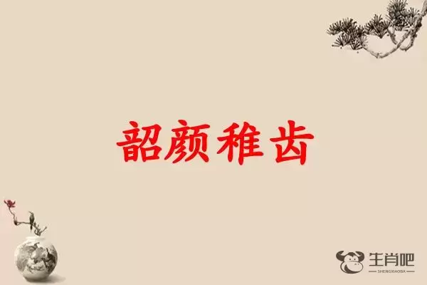 韶颜稚齿是什么生肖插图