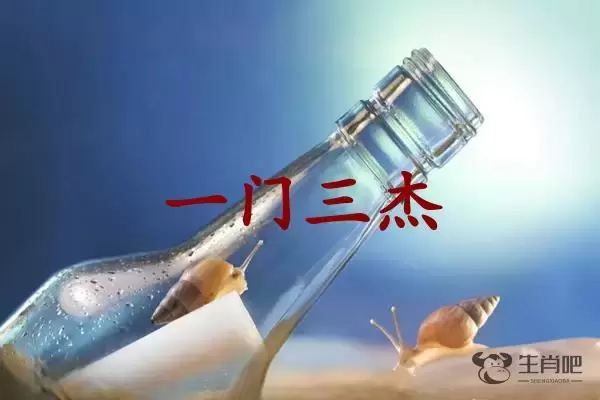 一门三杰是什么生肖插图