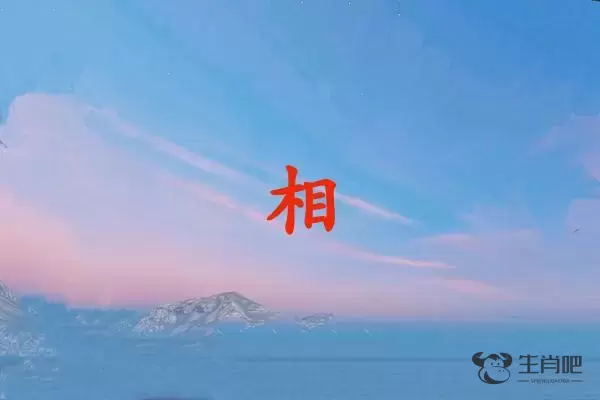 相字打一生肖（相字是什么生肖）插图