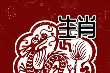 属龙的人和什么属相最般配，属龙的人和什么属相合作最好和属羊在事业上的合作是完美的搭档插图