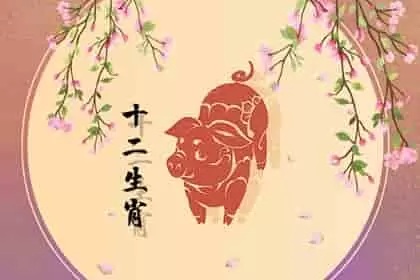 猪女配十二生肖吉凶指数，生肖猪女配什么生肖最合适属猪女和属猪男颇为合适的伴侣插图