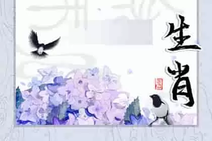 虎和什么生肖最配子女，生肖虎和什么配与属兔在生活上非常匹配插图