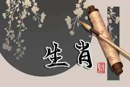 生肖猪男和什么生肖宝宝最好，生肖猪男和什么生肖女配属羊女属狗女插图