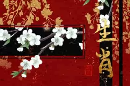 虎年配什么生肖好，虎年配什么生肖走运属狗人属猪人插图