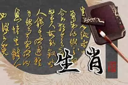 十二生肖鼠的最佳配对，十二生肖鼠男配什么生肖和属龙女友前程似锦的未来插图