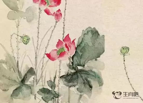 生肖牛和什么生肖最配97年牛女牛，生肖牛和什么生肖相冲婚姻运势插图1