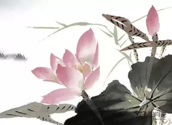 生肖马和什么生肖最配，生肖马和什么生肖最配财运运势插图