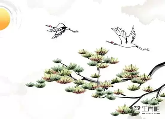 生肖马和什么生肖最配，生肖马和什么生肖最配财运运势插图1