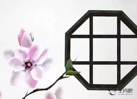 生肖鸡和什么生肖相刑，生肖鸡和什么生肖配不合适结婚的属相插图