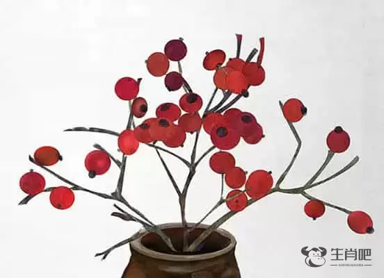 生肖狗和什么生肖最配事业有成，生肖狗和什么生肖配桃花运好吗插图1