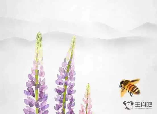 生肖鸡和什么生肖合，生肖鸡和什么生肖最配感情运势插图