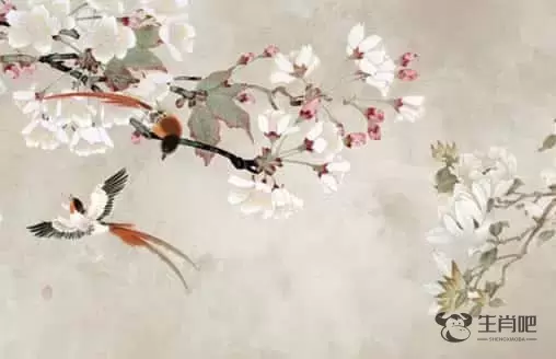 天生不能在一起的生肖配对76星座询，天生不能在一起的生肖配对十二生肖相克口诀插图